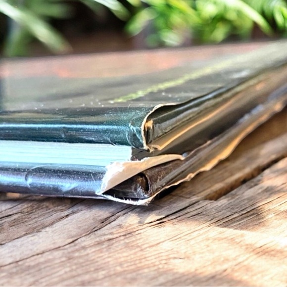 Y2K The Lord of The Rings: The Fellowship of the Ring Visual Collector’s Book - Picture 12 of 13